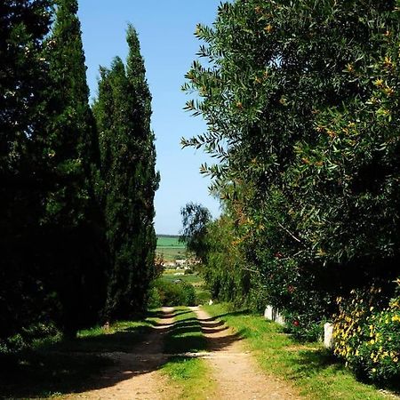Vale Do Guizo: Casa Poente On The Contryside, Close By The Sea. 阿尔热祖尔 外观 照片