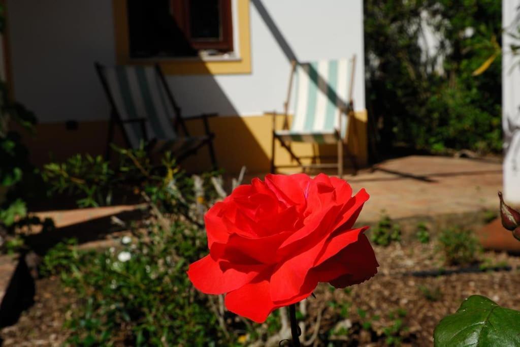 Vale Do Guizo: Casa Poente On The Contryside, Close By The Sea. 阿尔热祖尔 外观 照片