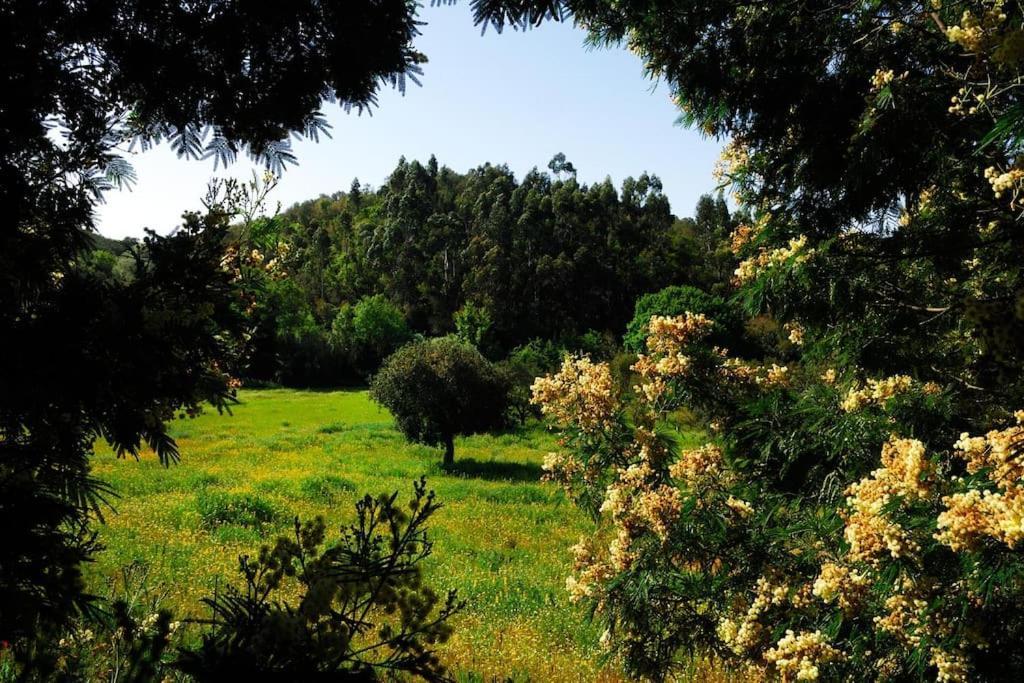 Vale Do Guizo: Casa Poente On The Contryside, Close By The Sea. 阿尔热祖尔 外观 照片